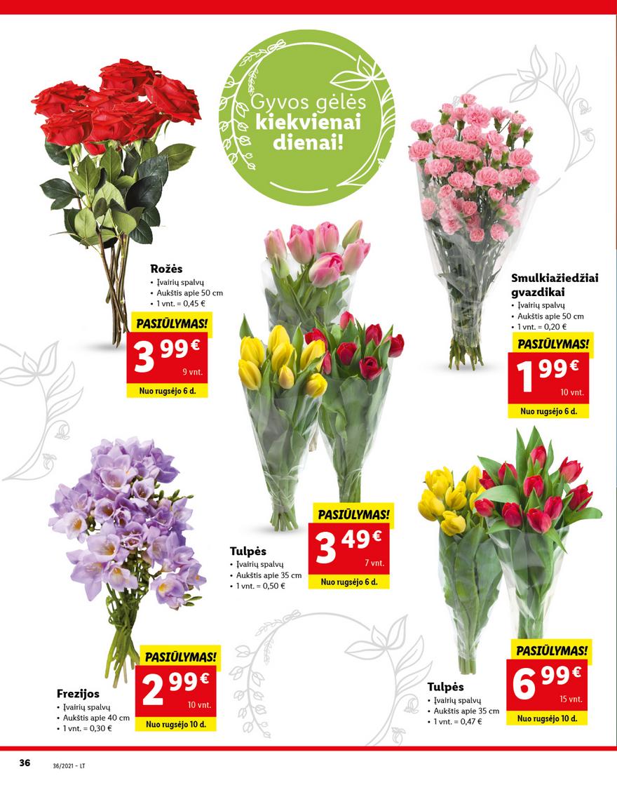 Lidl maisto prekių pasiūlymai akcijos nuo 
  2021-09-06 iki 
  2021-09-12 | Leidinukas.lt puslapis 36