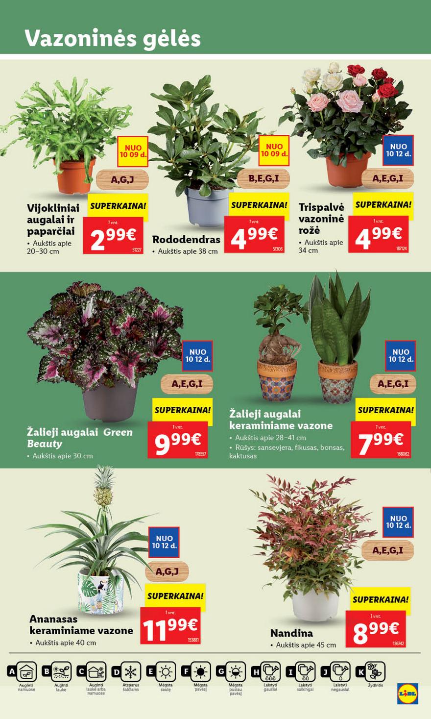 Lidl pasiūlymai akcijos nuo 
  2023-10-09 iki 
  2023-10-15 | Leidinukas.lt puslapis 53