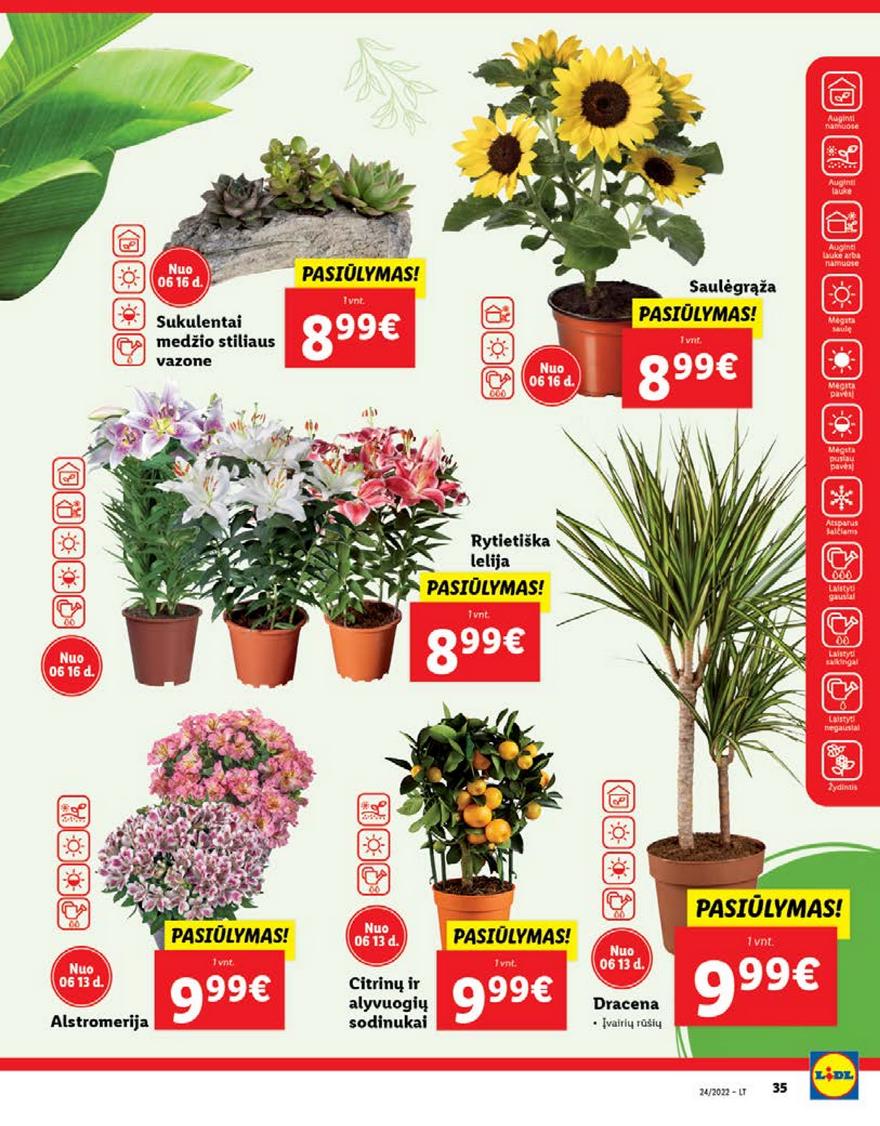 Lidl pasiūlymai akcijos nuo 
  2022-06-13 iki 
  2022-06-19 | Leidinukas.lt puslapis 35