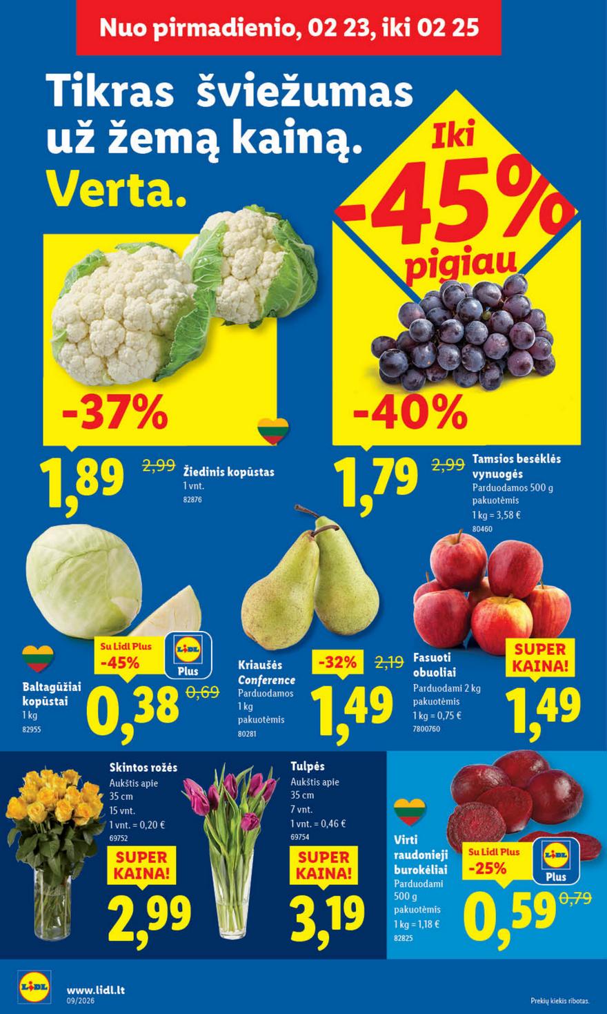 Lidl leidinys akcijos nuo 
  2026-02-23 iki 
  2026-03-01 | Leidinukas.lt puslapis 4