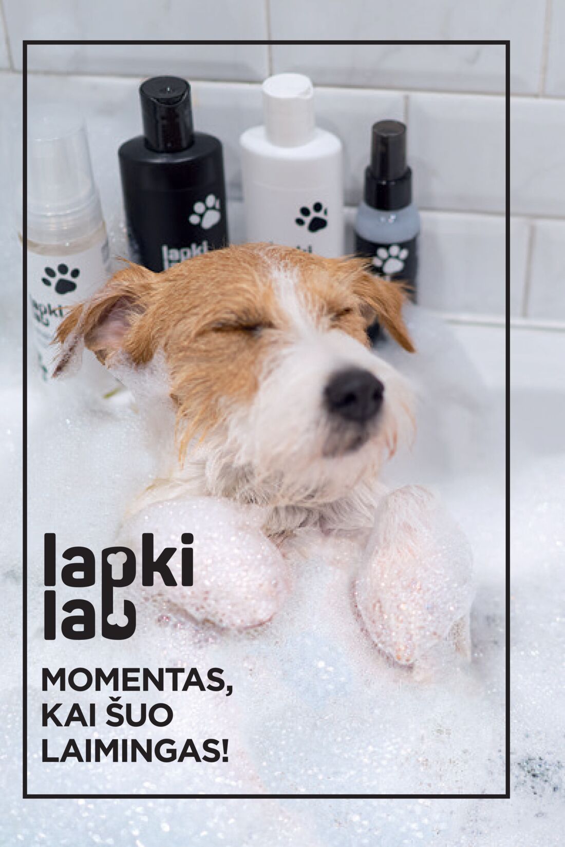 Faberlic leidinys akcijos nuo 
  2021-02-01 iki 
  2021-02-21 | Leidinukas.lt puslapis 232