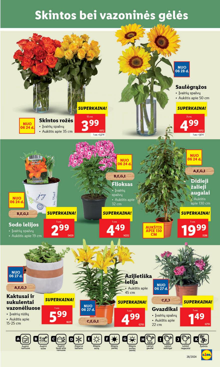 Lidl leidinys naujas akcijos nuo 
  2024-06-24 iki 
  2024-06-30 | Leidinukas.lt puslapis 35