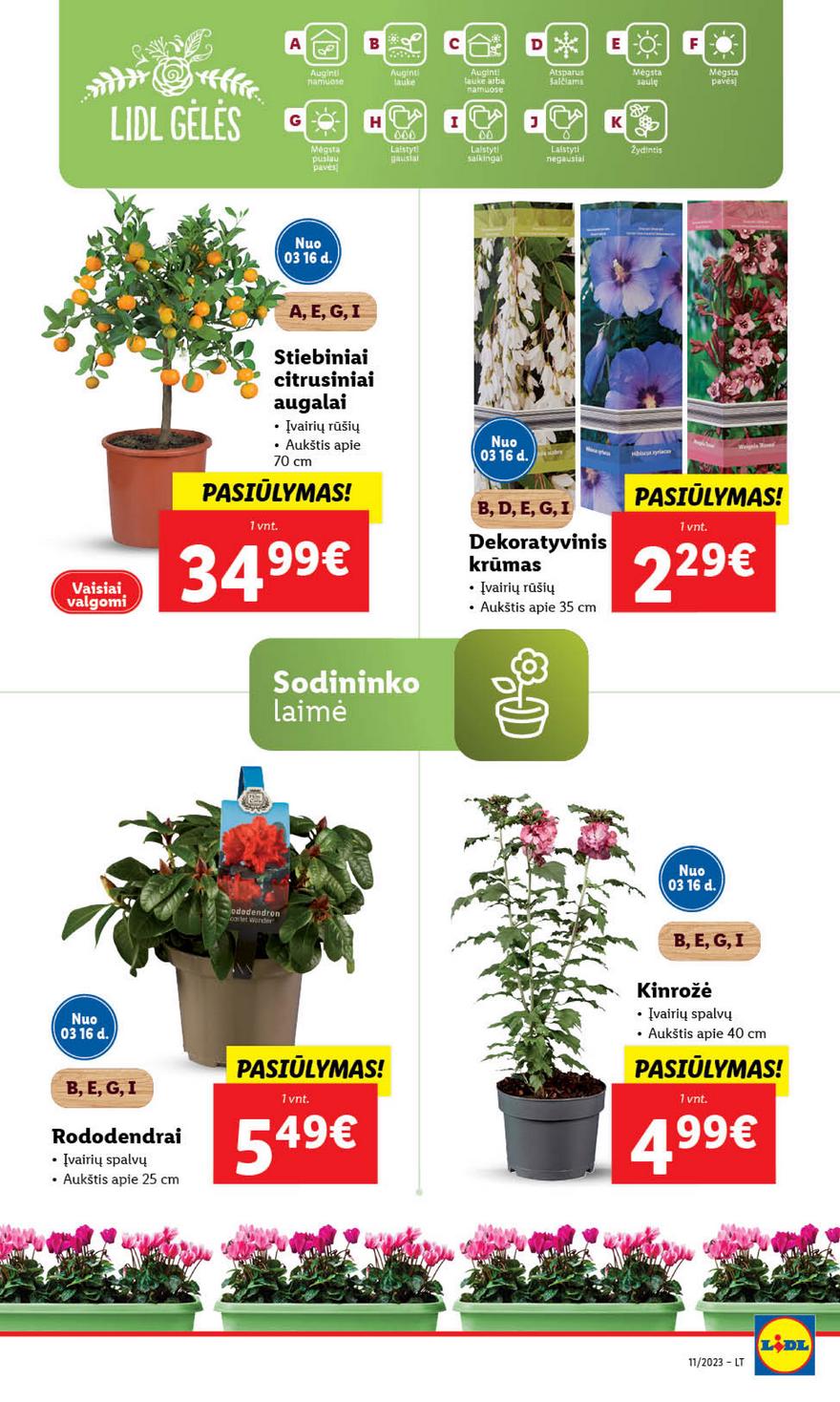 Ldil maisto leidinys akcijos nuo 
  2023-03-13 iki 
  2023-03-19 | Leidinukas.lt puslapis 61