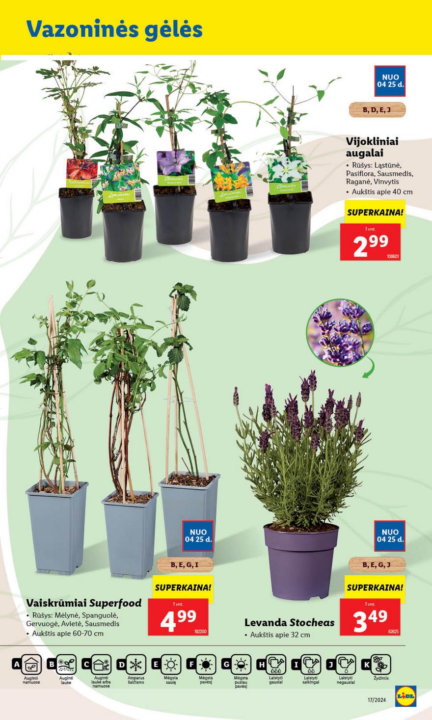 Lidl leidinys akcijos nuo 
  2024-04-22 iki 
  2024-04-28 | Leidinukas.lt puslapis 47