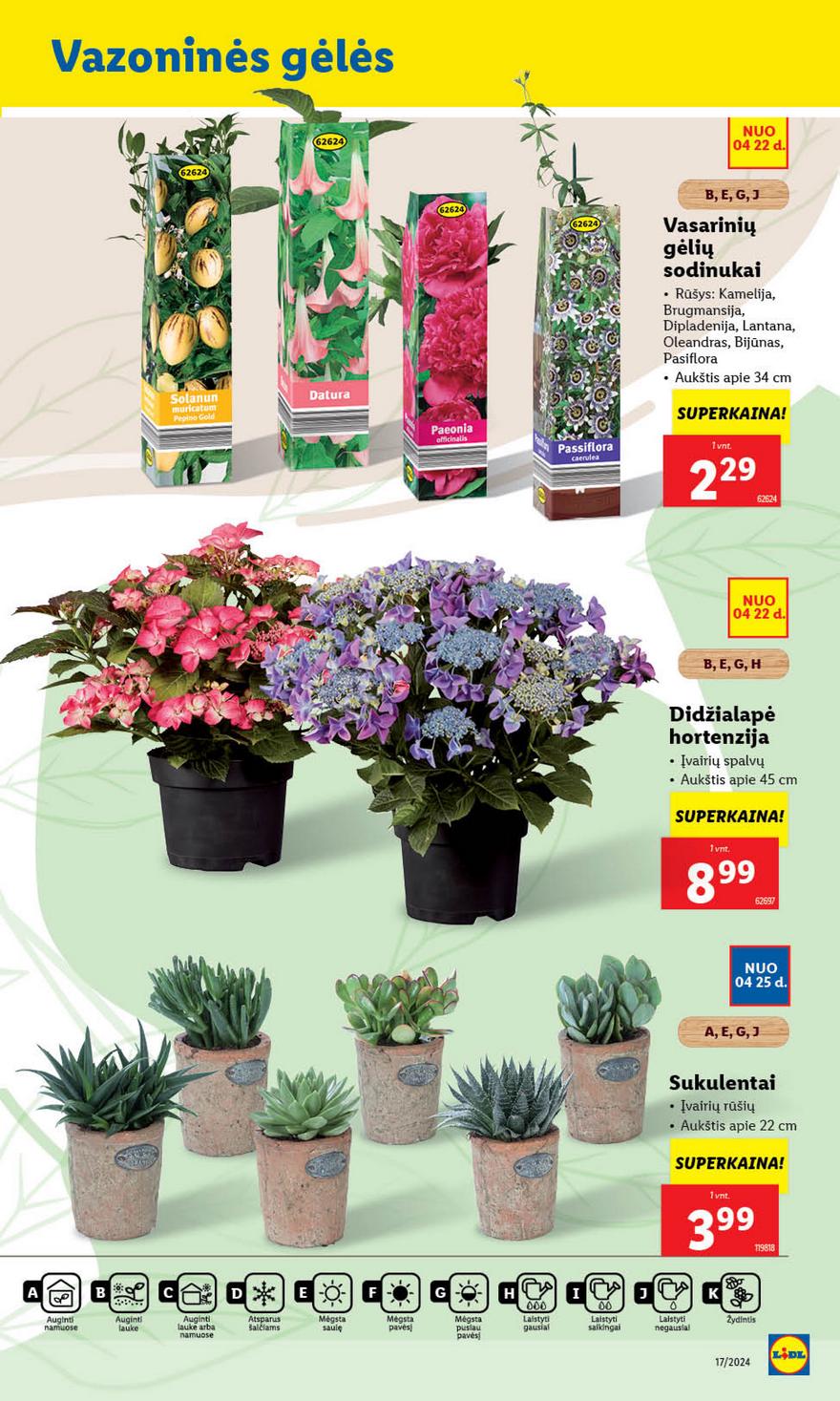 Lidl leidinys akcijos nuo 
  2024-04-22 iki 
  2024-04-28 | Leidinukas.lt puslapis 45
