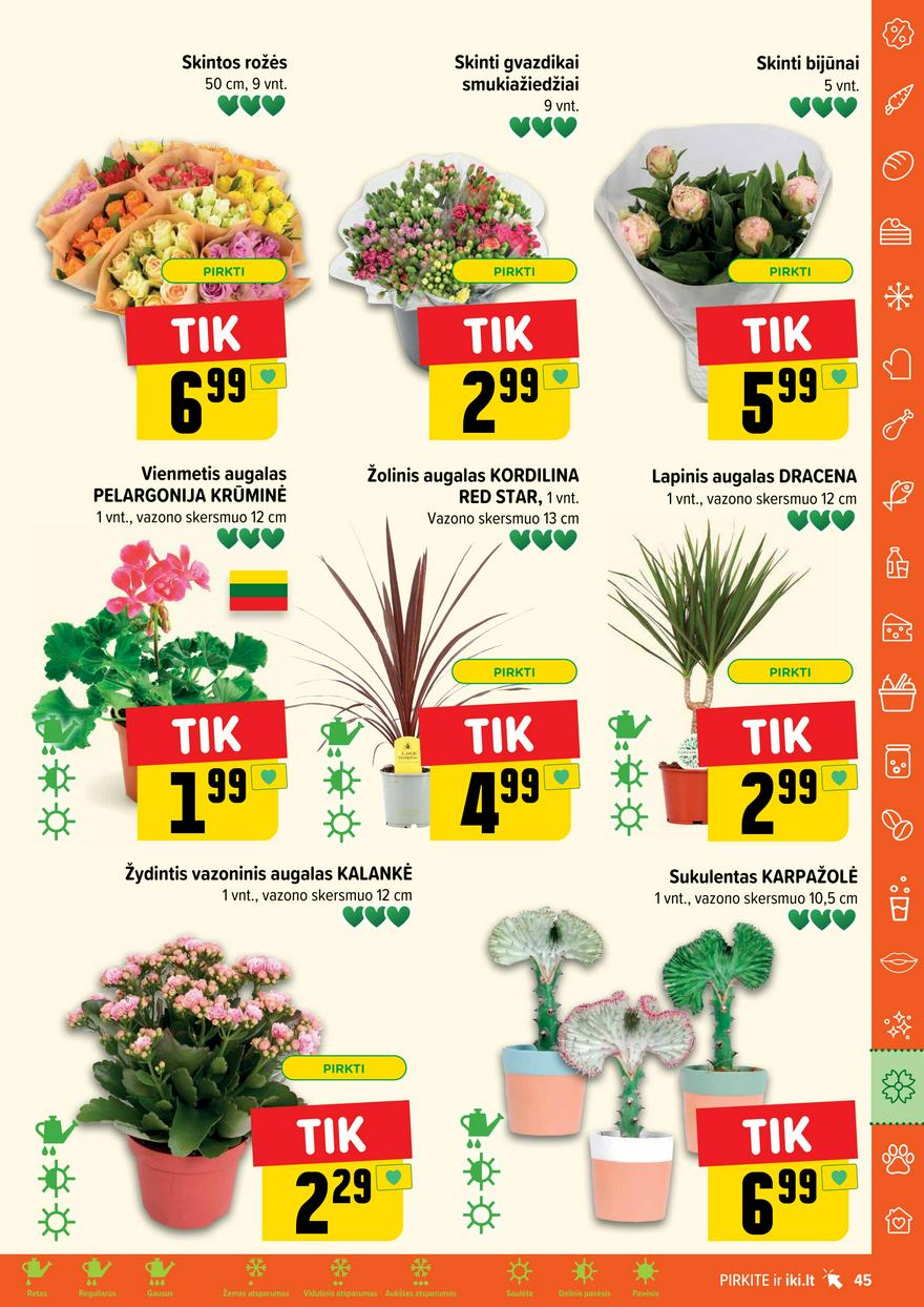 Iki leidinys akcijos nuo 
  2024-05-13 iki 
  2024-05-19 | Leidinukas.lt puslapis 45