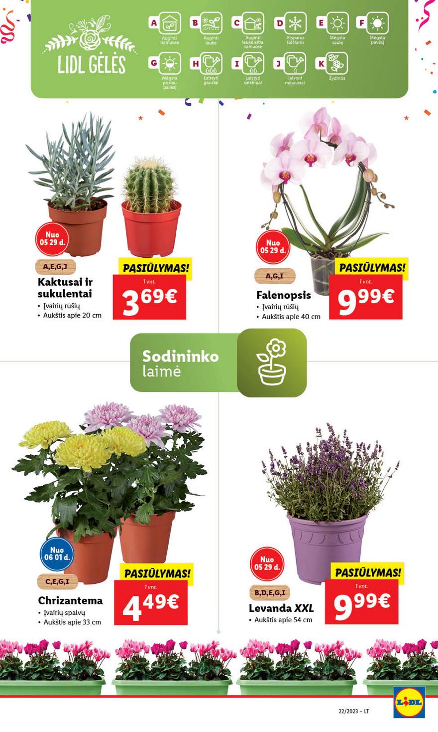 Ldil leidinys akcijos nuo 
  2023-05-29 iki 
  2023-06-04 | Leidinukas.lt puslapis 66