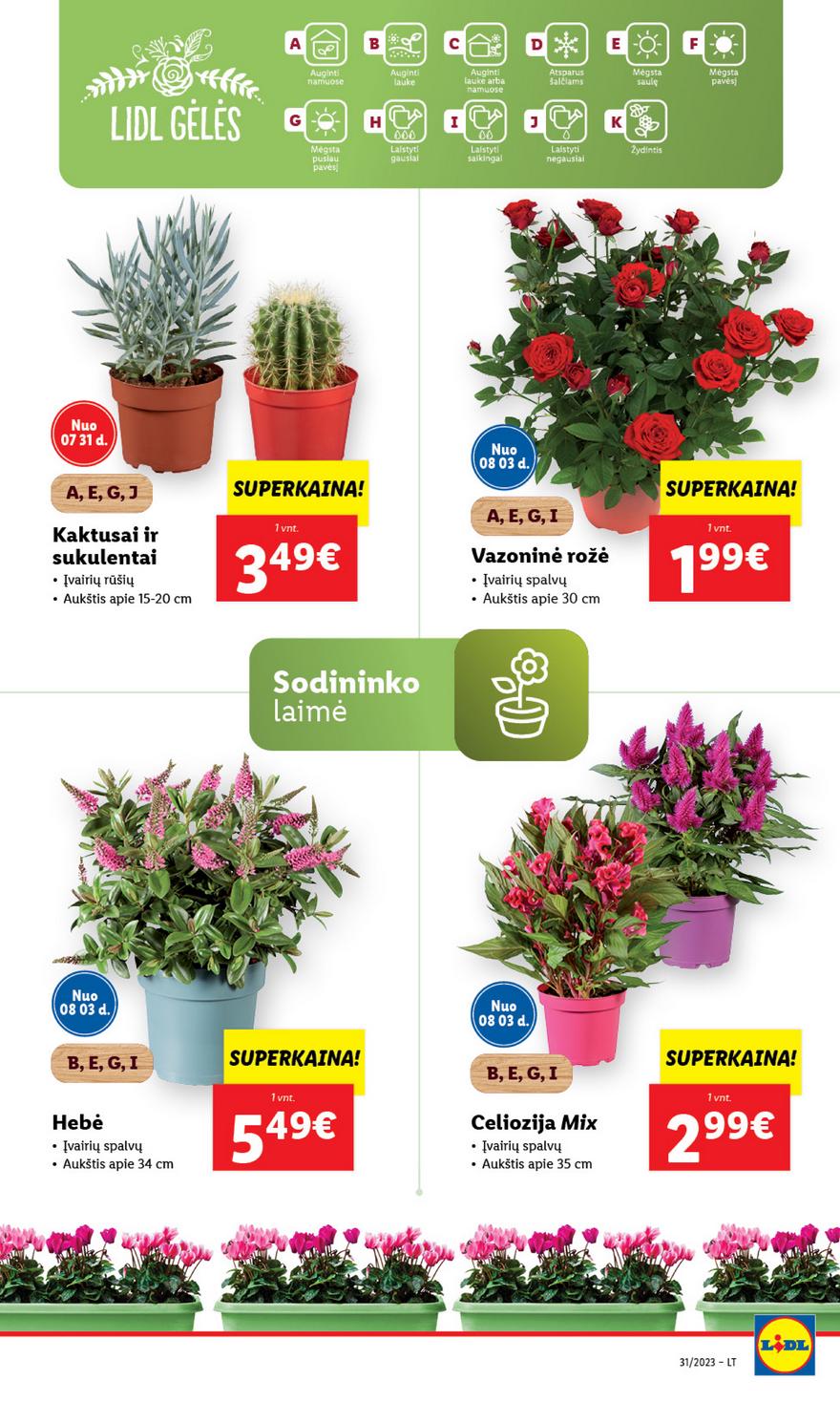 Lidl pasiūlymai akcijos nuo 
  2023-07-31 iki 
  2023-08-06 | Leidinukas.lt puslapis 52