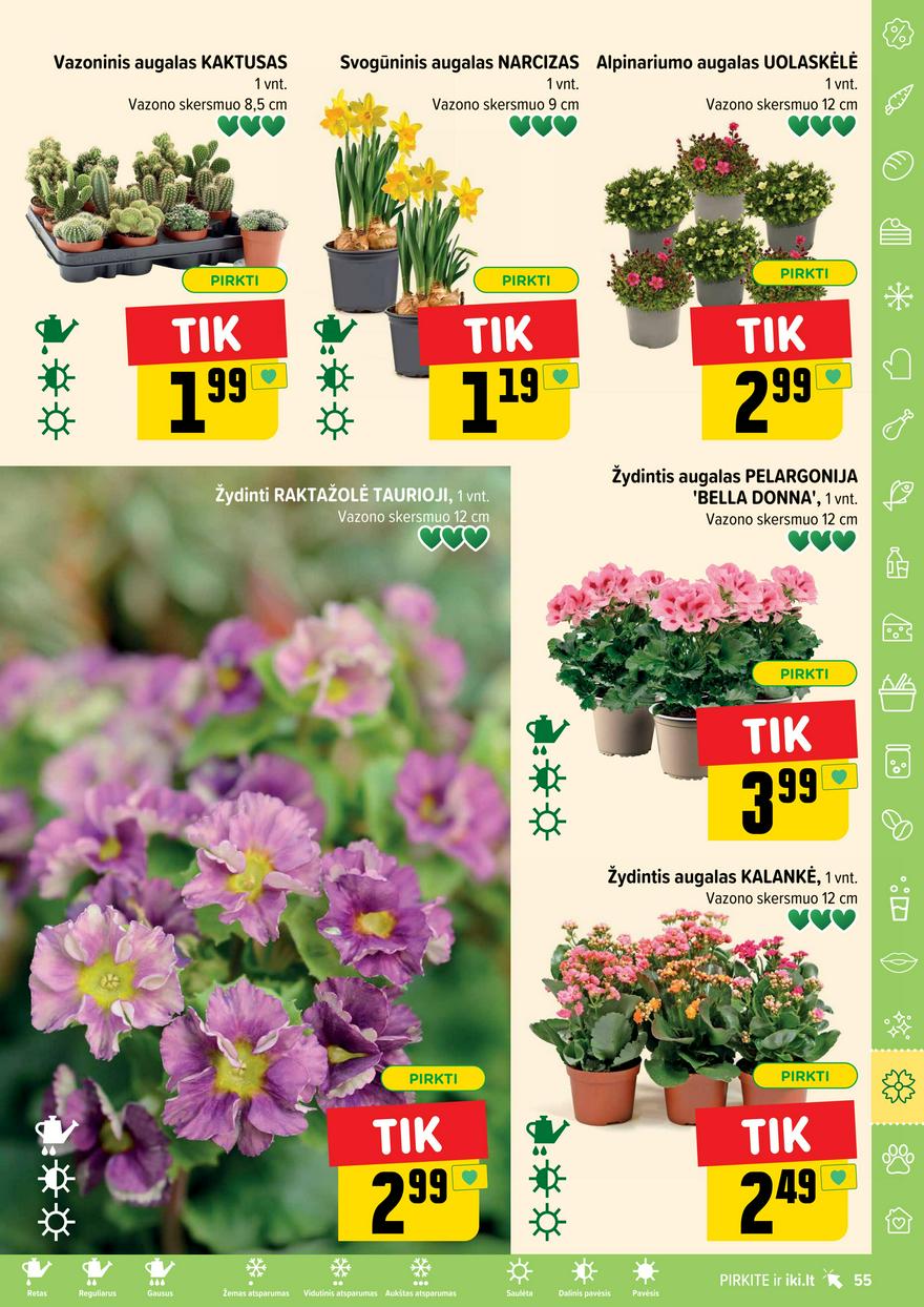 Iki leidinys 11 akcijos nuo 
  2025-03-10 iki 
  2025-03-16 | Leidinukas.lt puslapis 55