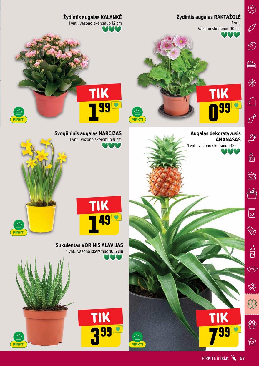 Iki leidinys akcijos nuo 
  2026-02-16 iki 
  2026-02-22 | Leidinukas.lt puslapis 57