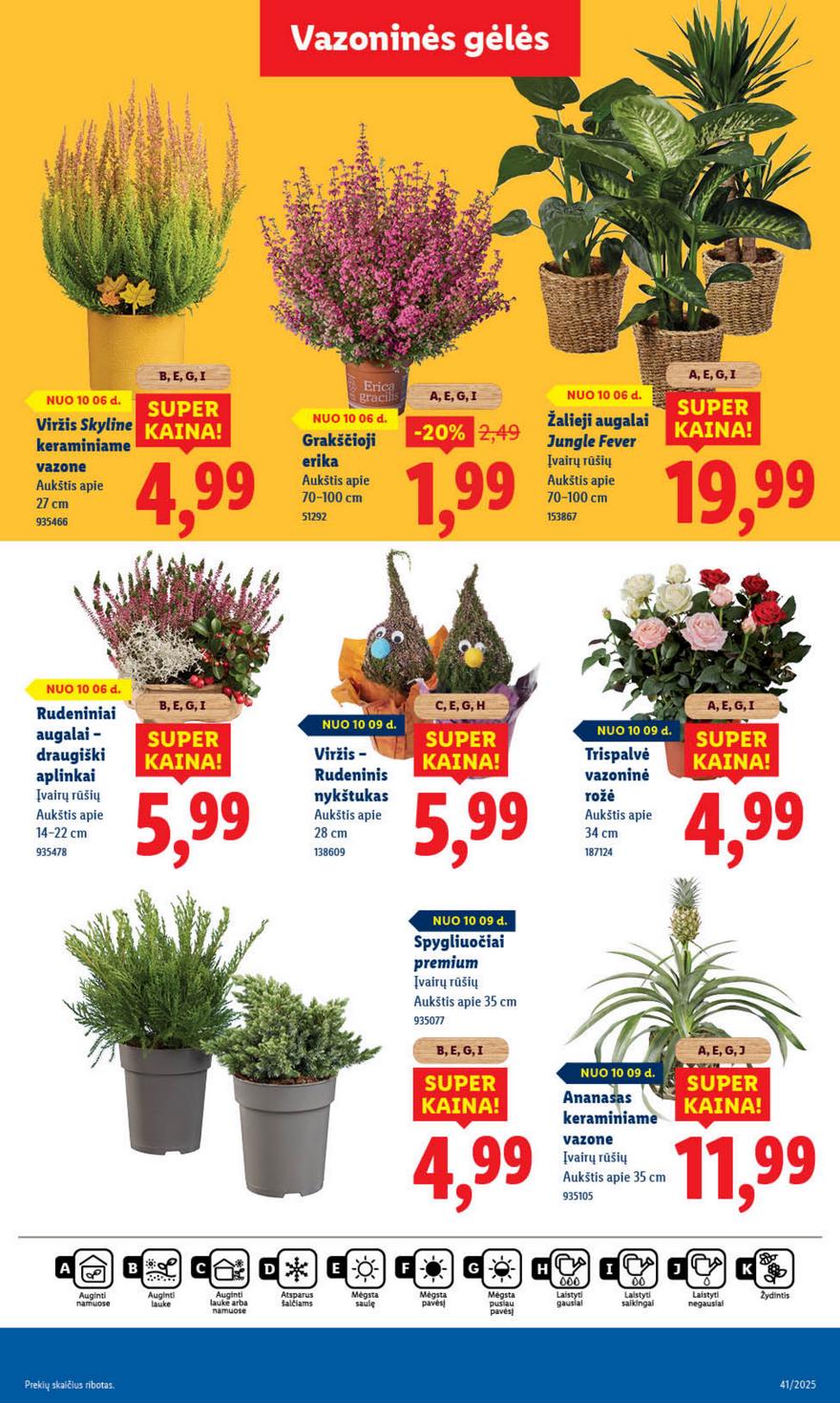 Lidl leidinys naujas akcijos nuo 
  2025-10-06 iki 
  2025-10-12 | Leidinukas.lt puslapis 63