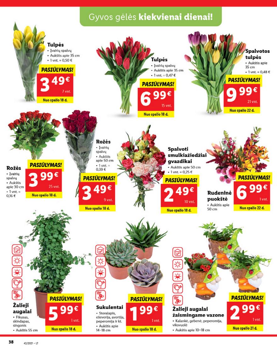 Lidl pasiūlymai akcijos nuo 
  2021-10-18 iki 
  2021-10-24 | Leidinukas.lt puslapis 38