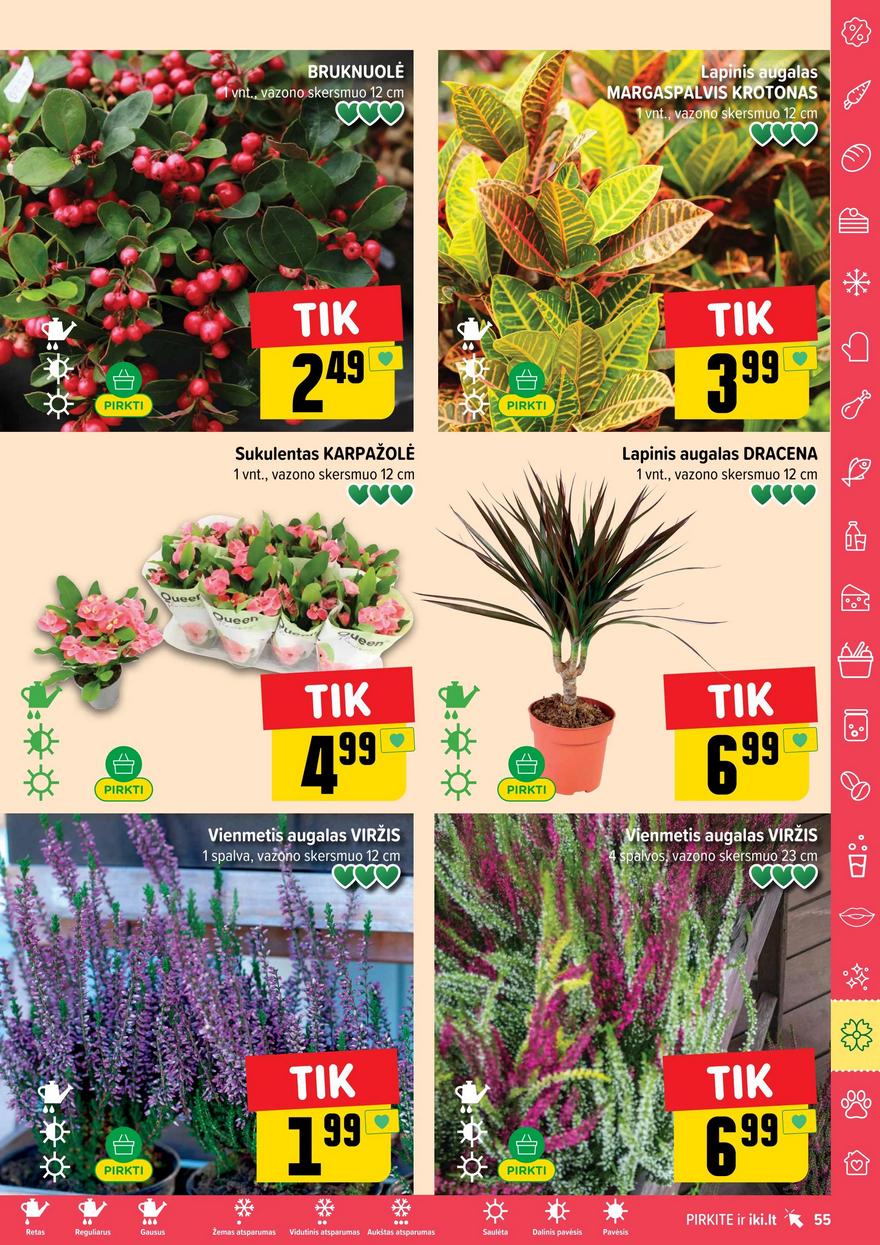 Iki leidinys akcijos nuo 
  2025-09-15 iki 
  2025-09-21 | Leidinukas.lt puslapis 55