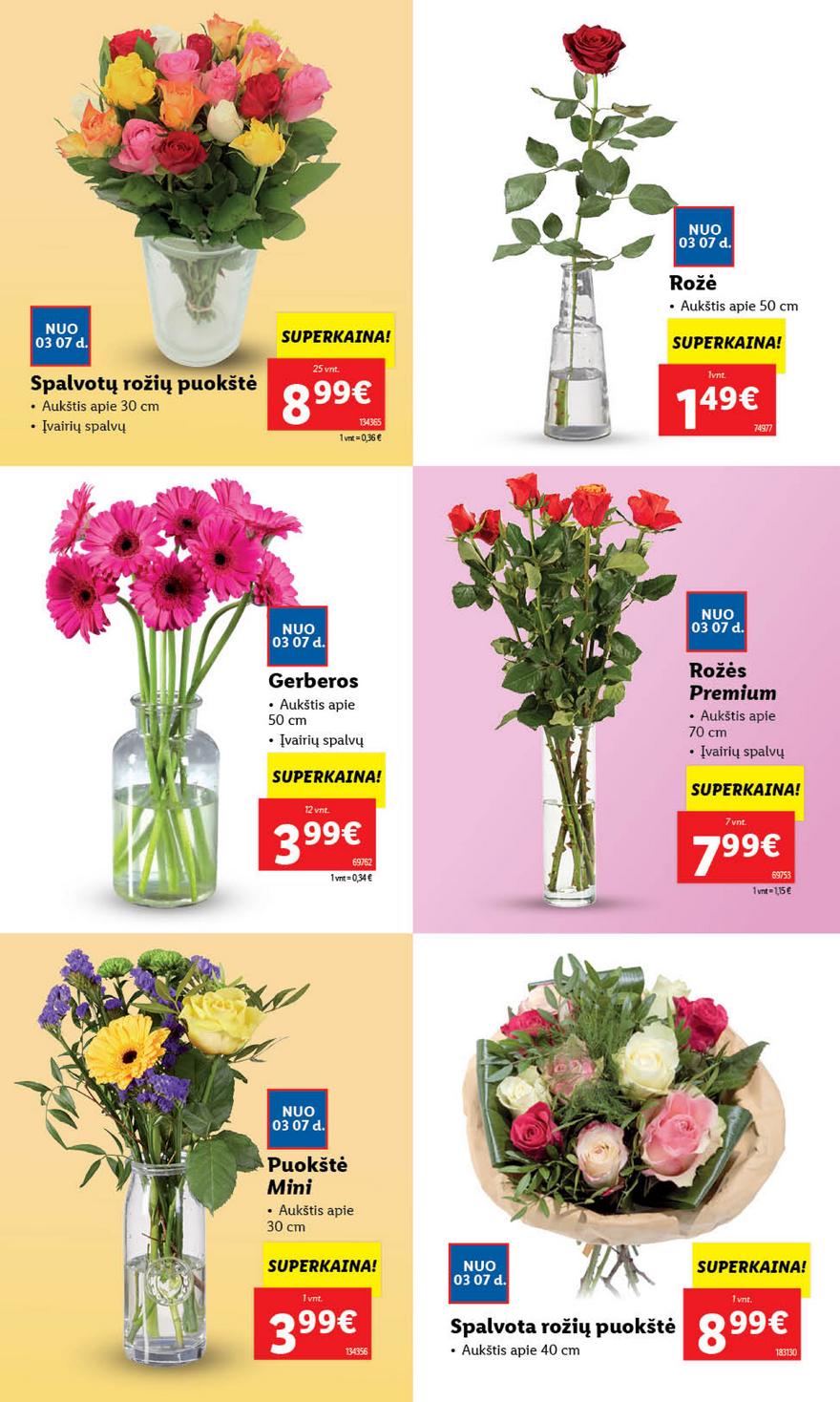 Lidl pasiūlymai akcijos nuo 
  2024-03-04 iki 
  2024-03-10 | Leidinukas.lt puslapis 41