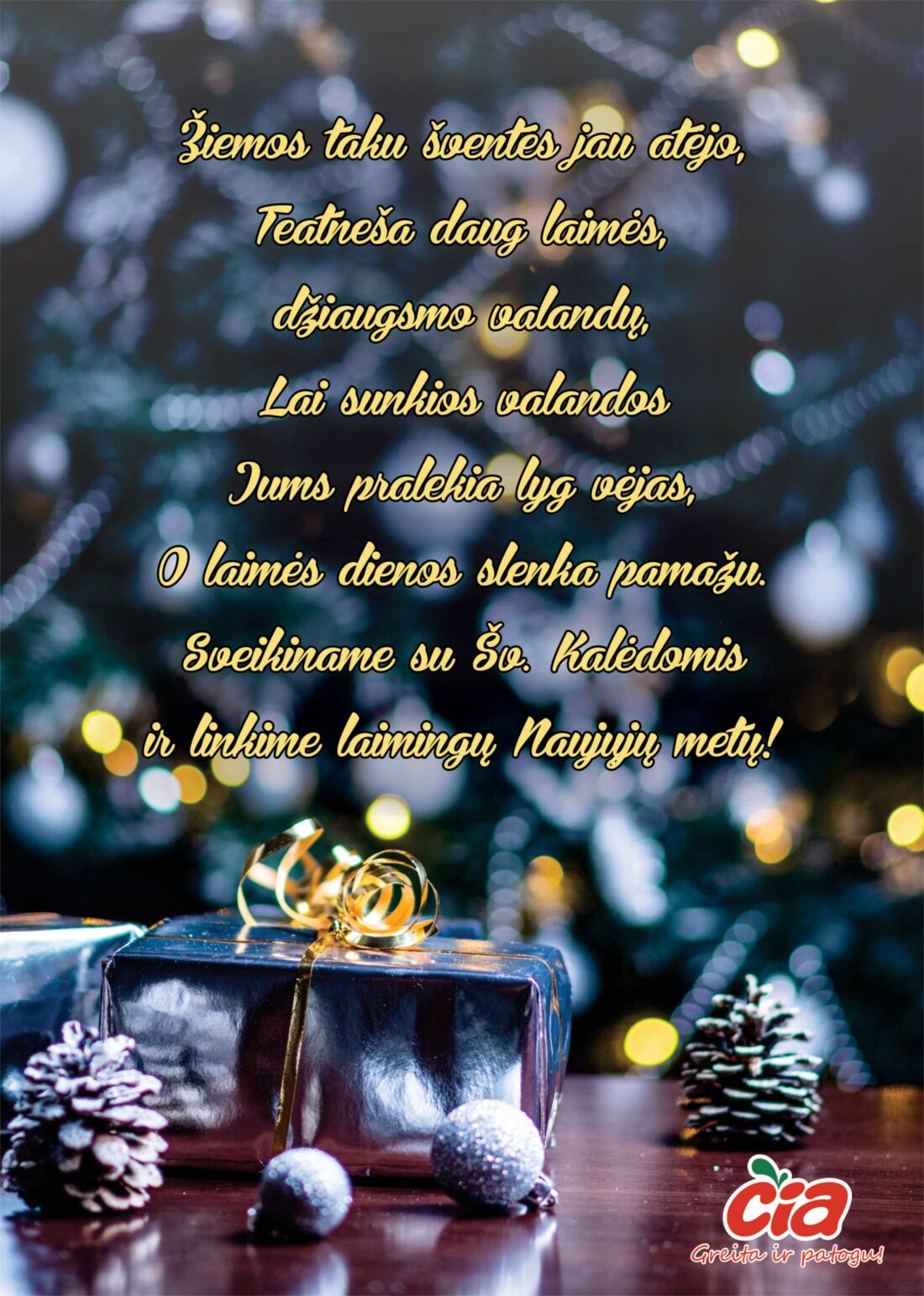 Čia leidinys akcijos nuo 
  2020-12-15 iki 
  2021-01-04 | Leidinukas.lt puslapis 16