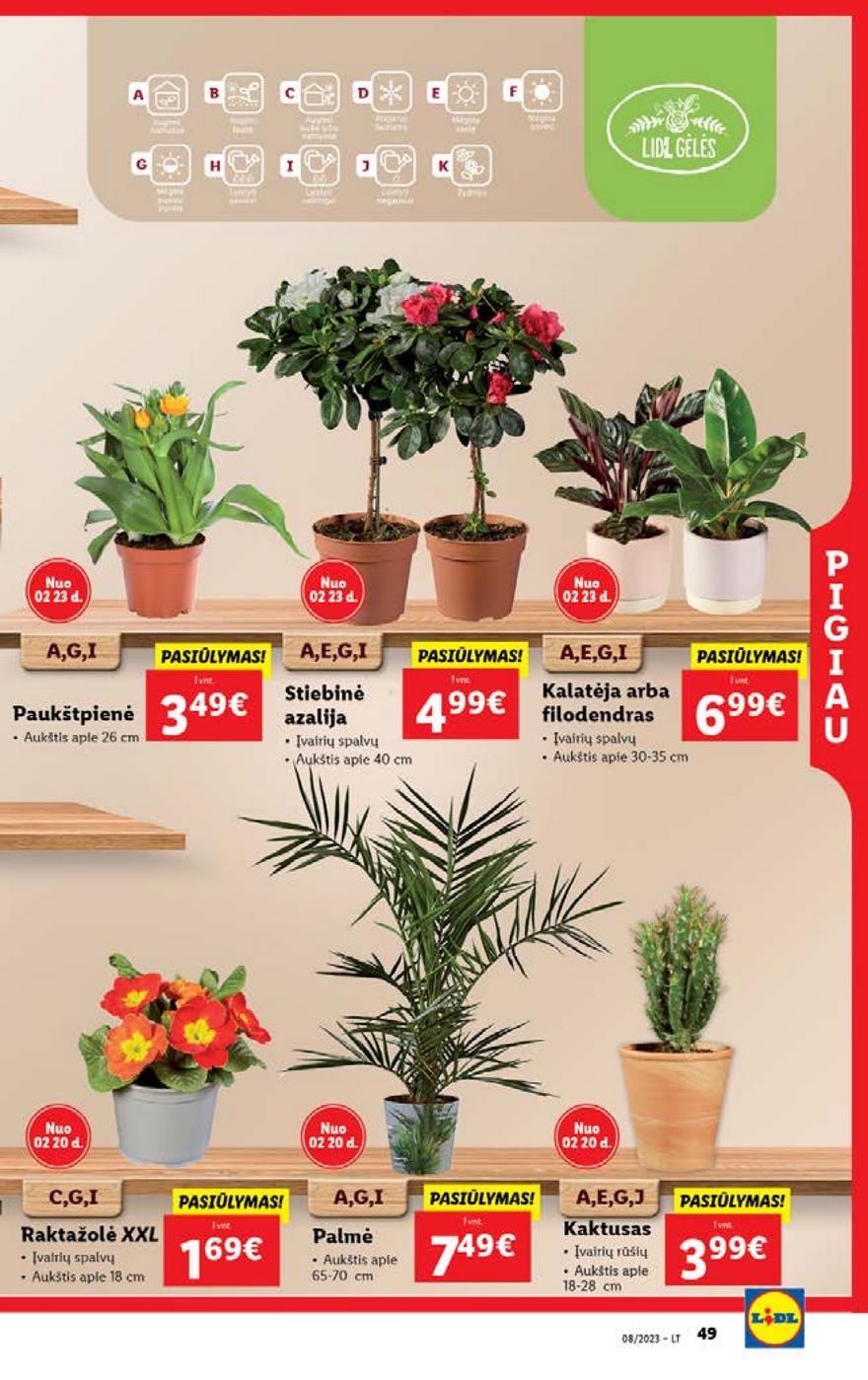 Lidl pasiūlymai akcijos nuo 
  2023-02-20 iki 
  2023-02-26 | Leidinukas.lt puslapis 49