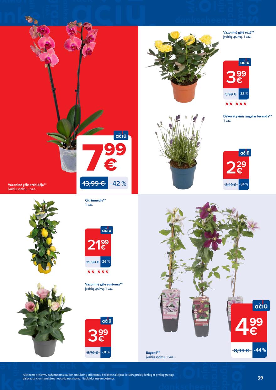 Maxima leidinukas akcijos nuo 
  2026-07-07 iki 
  2026-07-13 | Leidinukas.lt puslapis 39