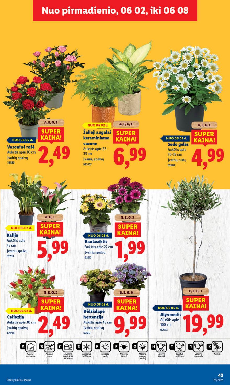 Lidl savaitinis leidinys akcijos nuo 
  2025-06-02 iki 
  2025-06-08 | Leidinukas.lt puslapis 49