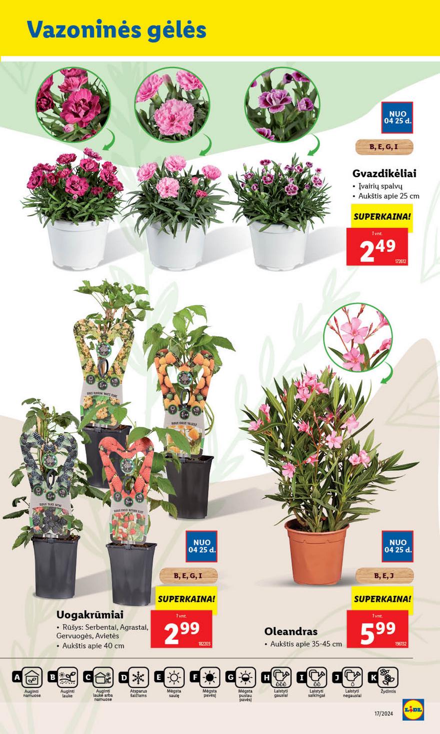 Lidl leidinys akcijos nuo 
  2024-04-22 iki 
  2024-04-28 | Leidinukas.lt puslapis 46