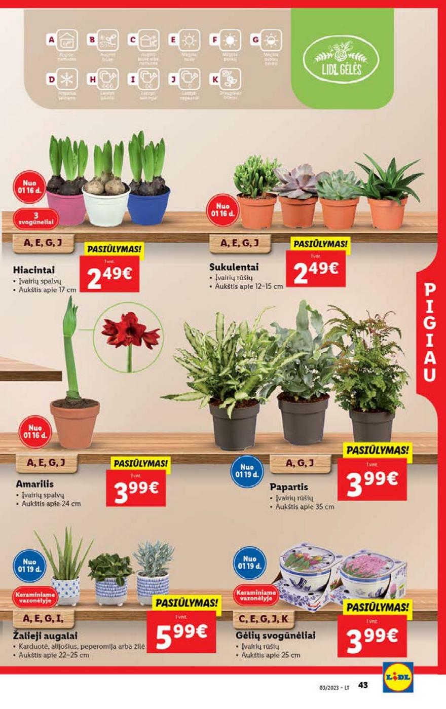 Lidl maisto prekių pasiūlymai akcijos nuo 
  2023-01-16 iki 
  2023-01-22 | Leidinukas.lt puslapis 43