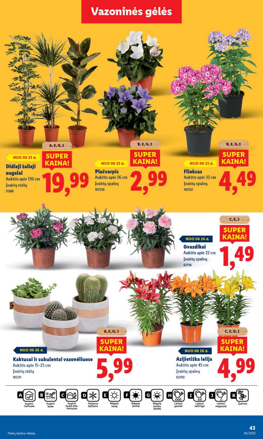 Lidl leidinys akcijos nuo 
  2025-06-23 iki 
  2025-06-29 | Leidinukas.lt puslapis 43