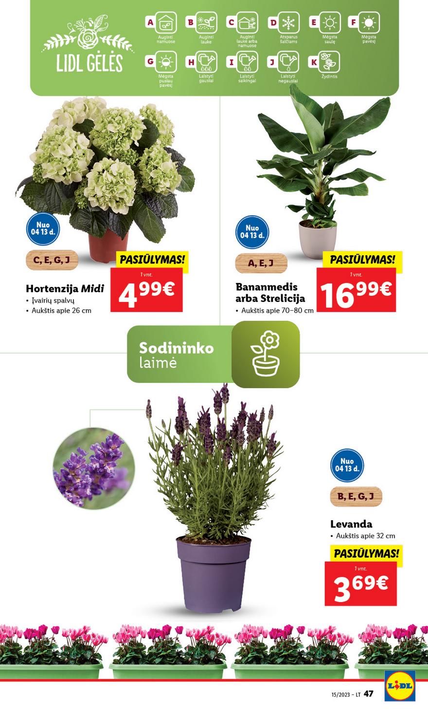 Lidl pasiūlymai akcijos nuo 
  2023-04-10 iki 
  2023-04-16 | Leidinukas.lt puslapis 47