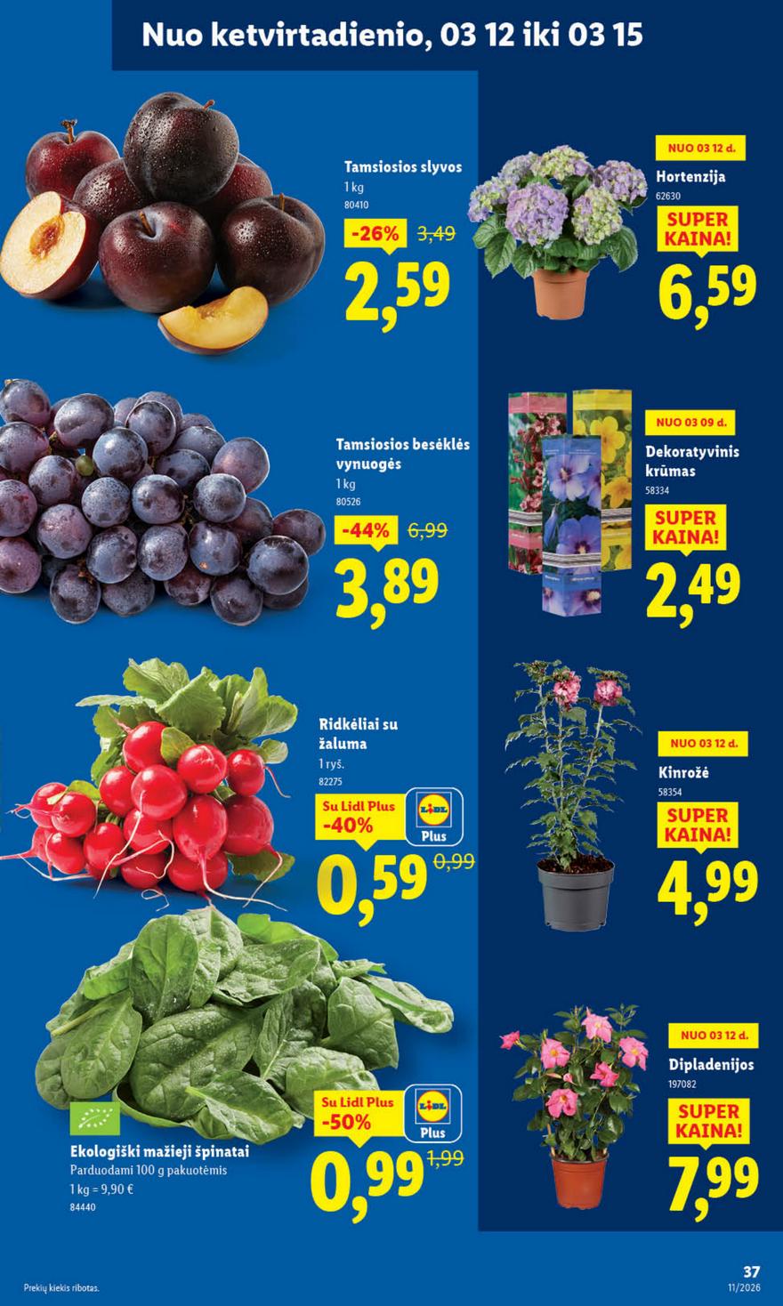 Lidl leidinys naujas akcijos nuo 
  2026-03-09 iki 
  2026-03-15 | Leidinukas.lt puslapis 37
