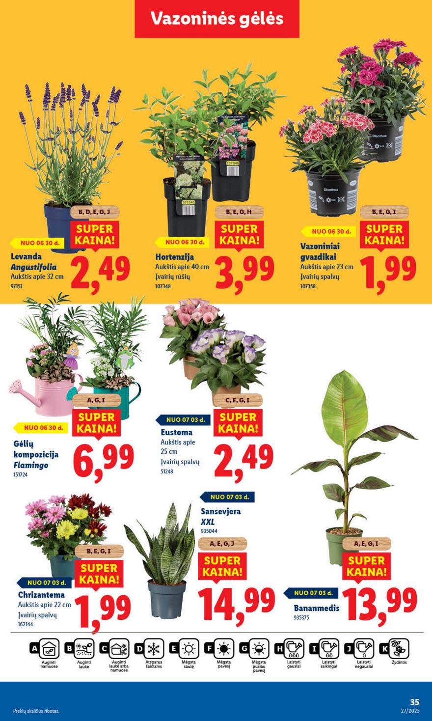 Lidl leidinys akcijos nuo 
  2025-06-30 iki 
  2025-07-06 | Leidinukas.lt puslapis 42