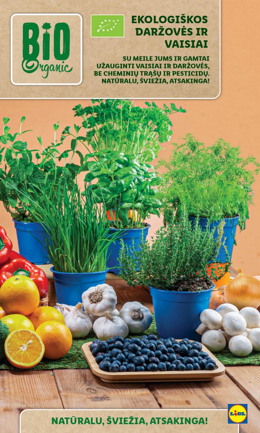 Lidl leidinys akcijos nuo 
  2024-05-27 iki 
  2024-06-02 | Leidinukas.lt puslapis 19