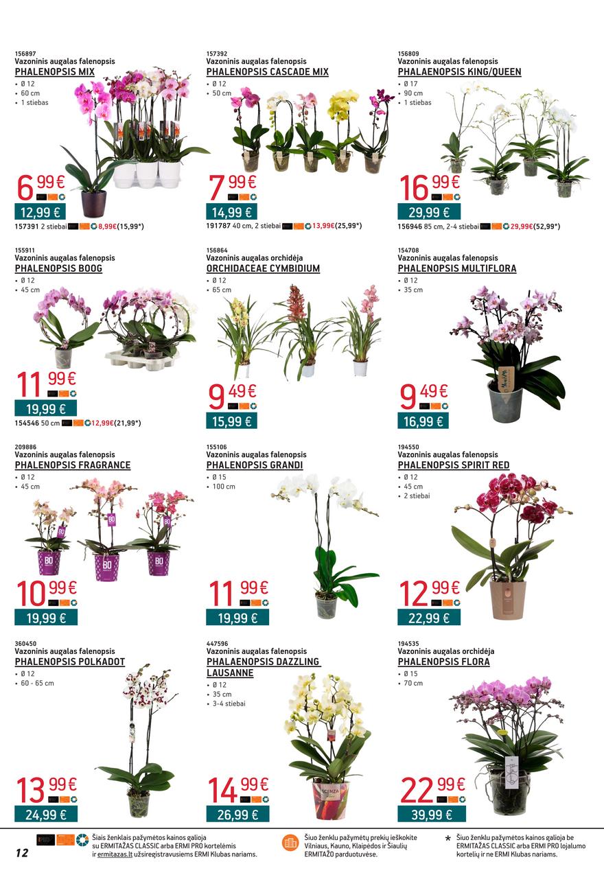 Ermitažas leidinys akcijos nuo 
  2024-03-01 iki 
  2024-04-01 | Leidinukas.lt puslapis 12
