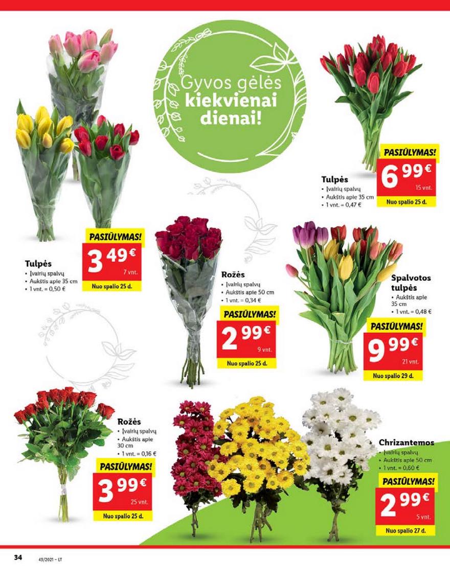 Lidl pasiūlymai akcijos nuo 
  2021-10-25 iki 
  2021-10-31 | Leidinukas.lt puslapis 34