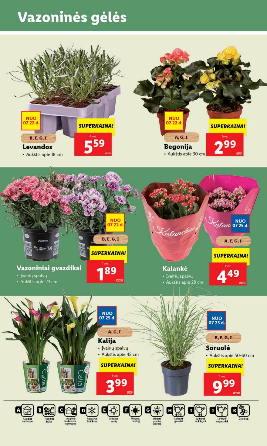 Lidl leidinys akcijos nuo 
  2024-05-22 iki 
  2024-05-28 | Leidinukas.lt puslapis 35