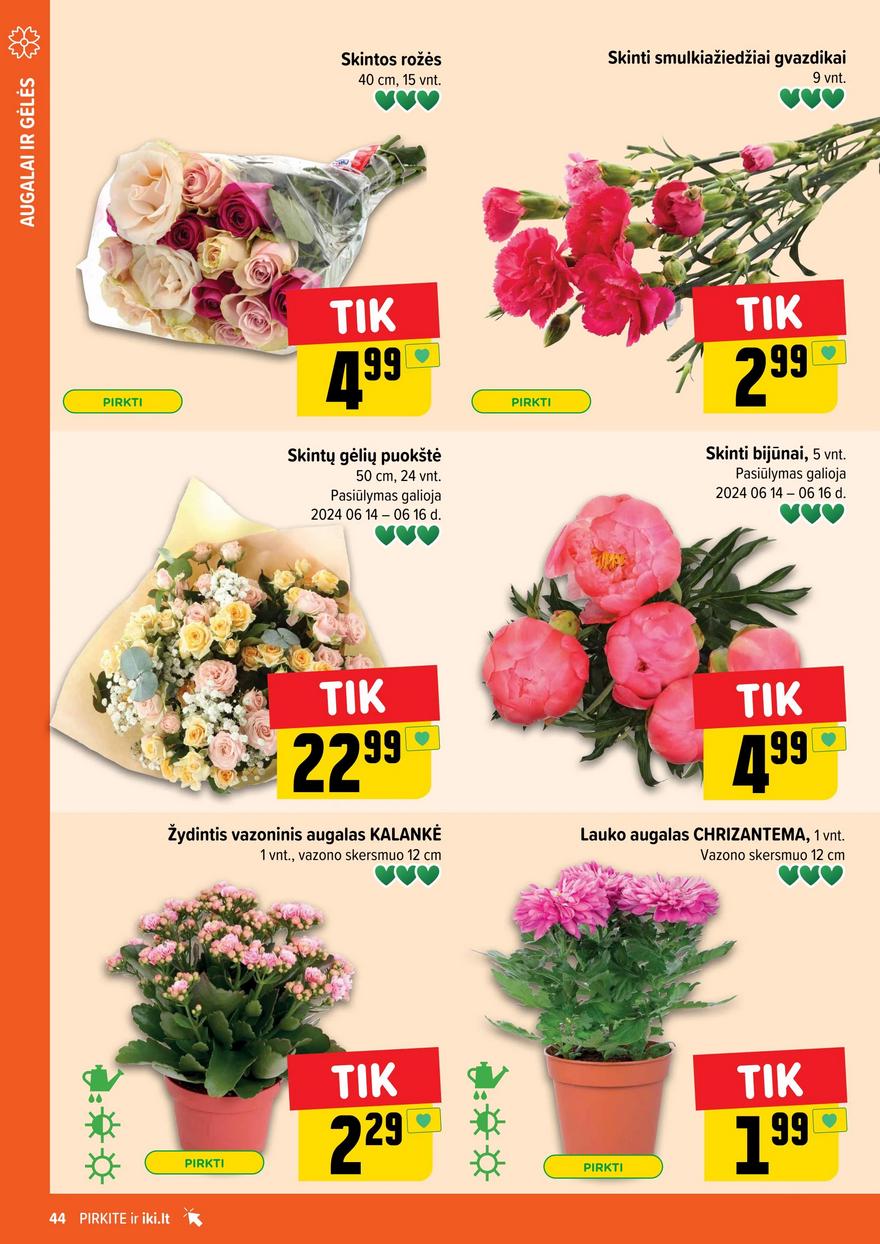 Iki leidinys akcijos nuo 
  2024-06-10 iki 
  2024-06-16 | Leidinukas.lt puslapis 44