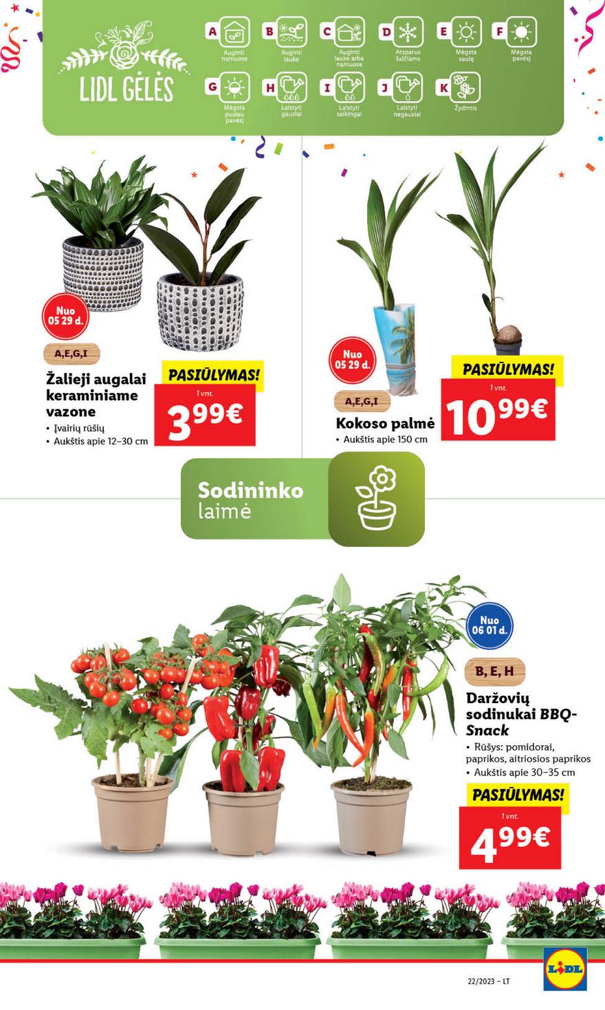 Ldil leidinys akcijos nuo 
  2023-05-29 iki 
  2023-06-04 | Leidinukas.lt puslapis 67