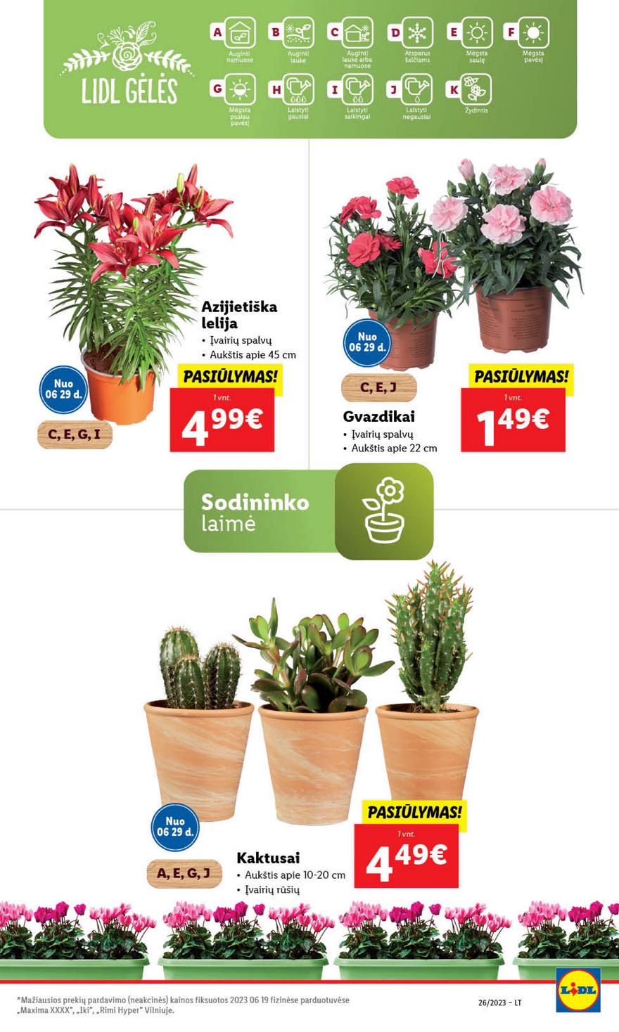 Lidl maisto prekių pasiūlymai akcijos nuo 
  2023-06-26 iki 
  2023-07-02 | Leidinukas.lt puslapis 59