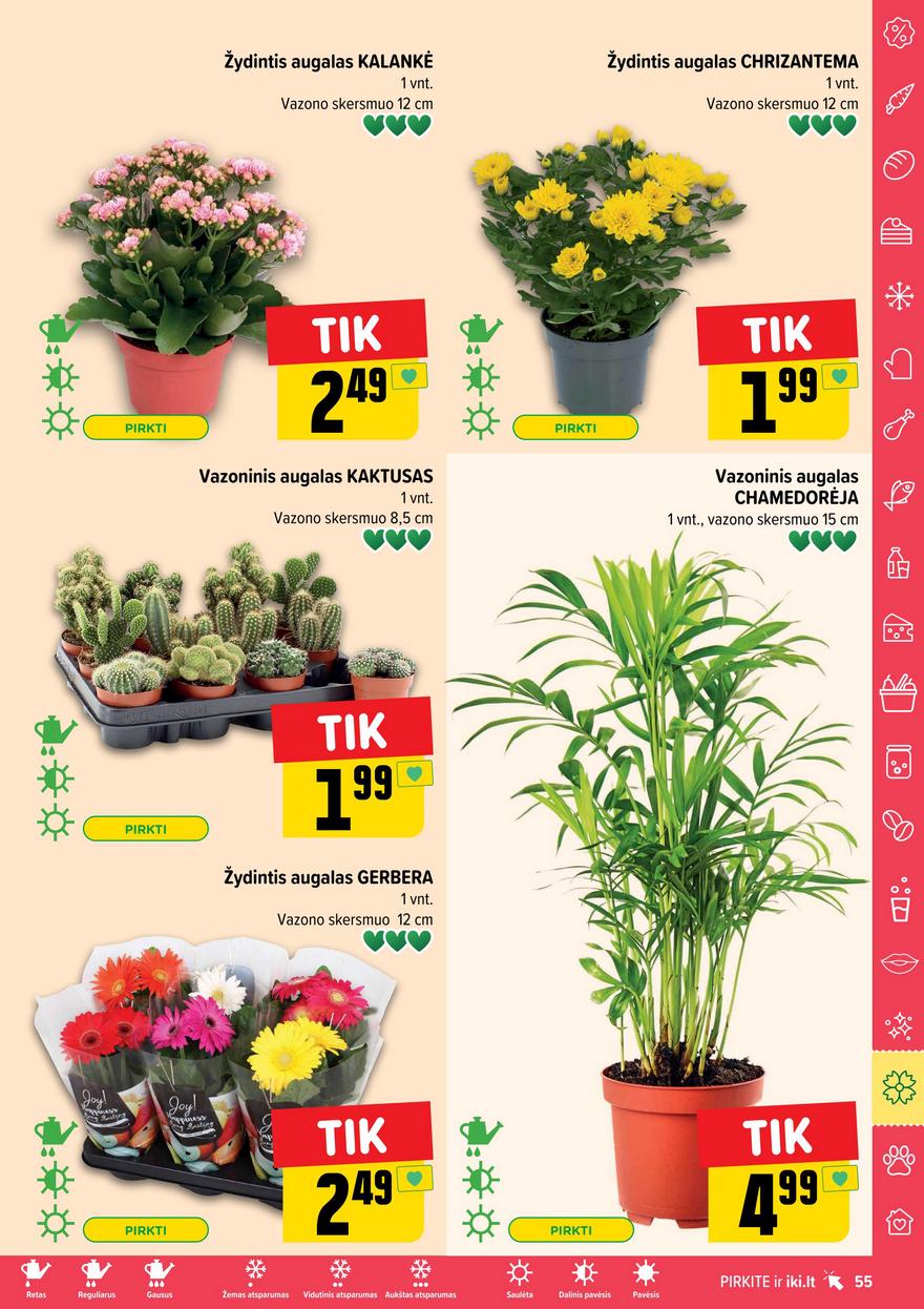Iki leidinys 24 akcijos nuo 
  2025-06-09 iki 
  2025-06-15 | Leidinukas.lt puslapis 55