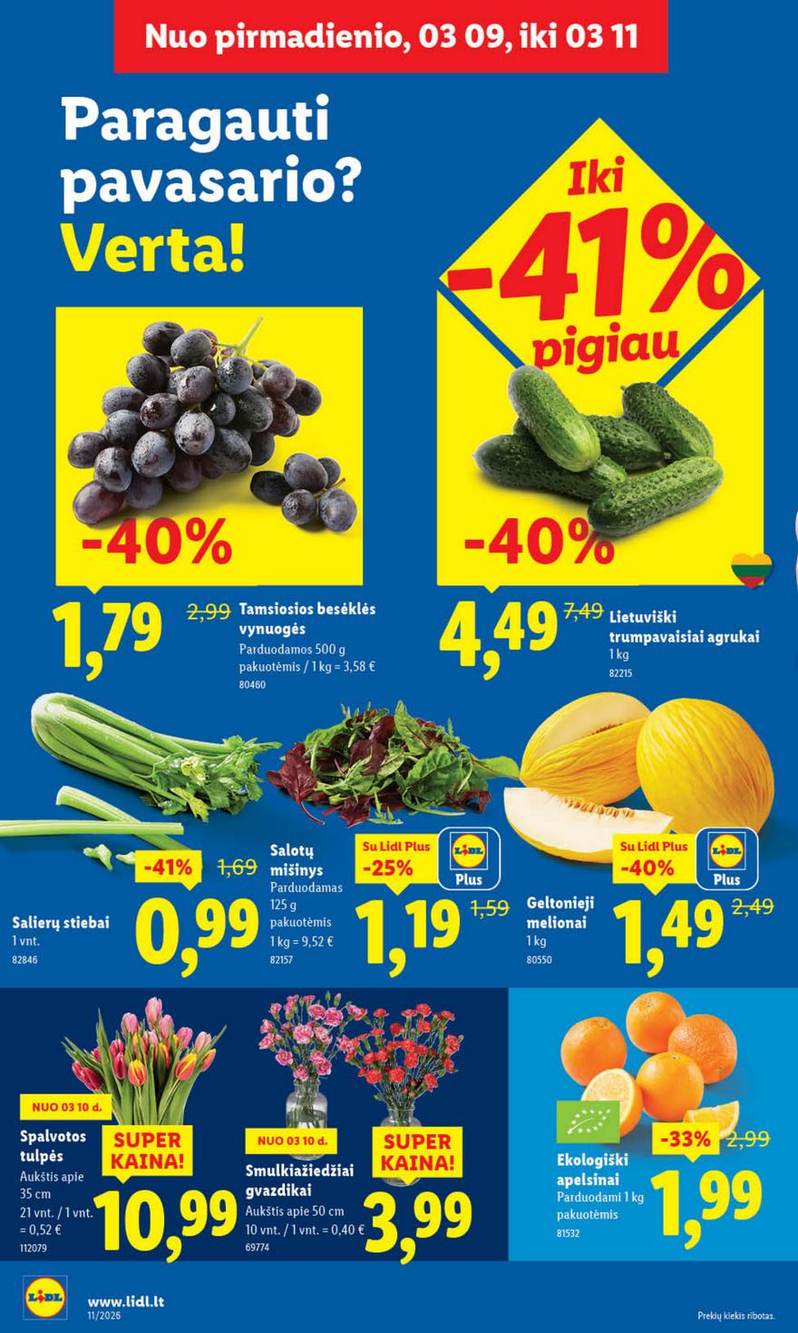 Lidl leidinys naujas akcijos nuo 
  2026-03-09 iki 
  2026-03-15 | Leidinukas.lt puslapis 4