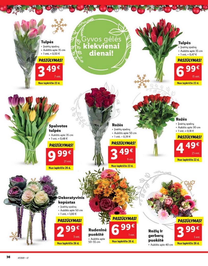 Lidl pasiūlymai akcijos nuo 
  2021-11-22 iki 
  2021-11-28 | Leidinukas.lt puslapis 36