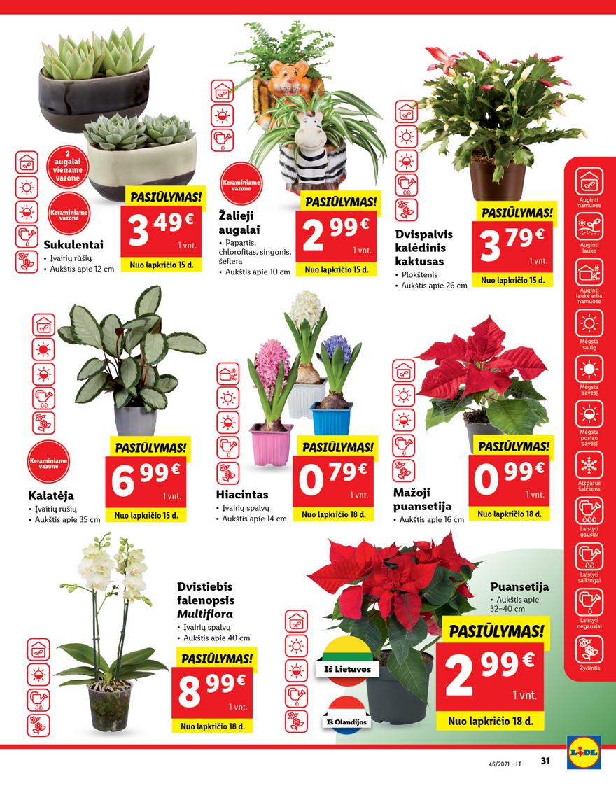 Lidl maisto prekių pasiūlymai akcijos nuo 
  2021-11-15 iki 
  2021-11-21 | Leidinukas.lt puslapis 31