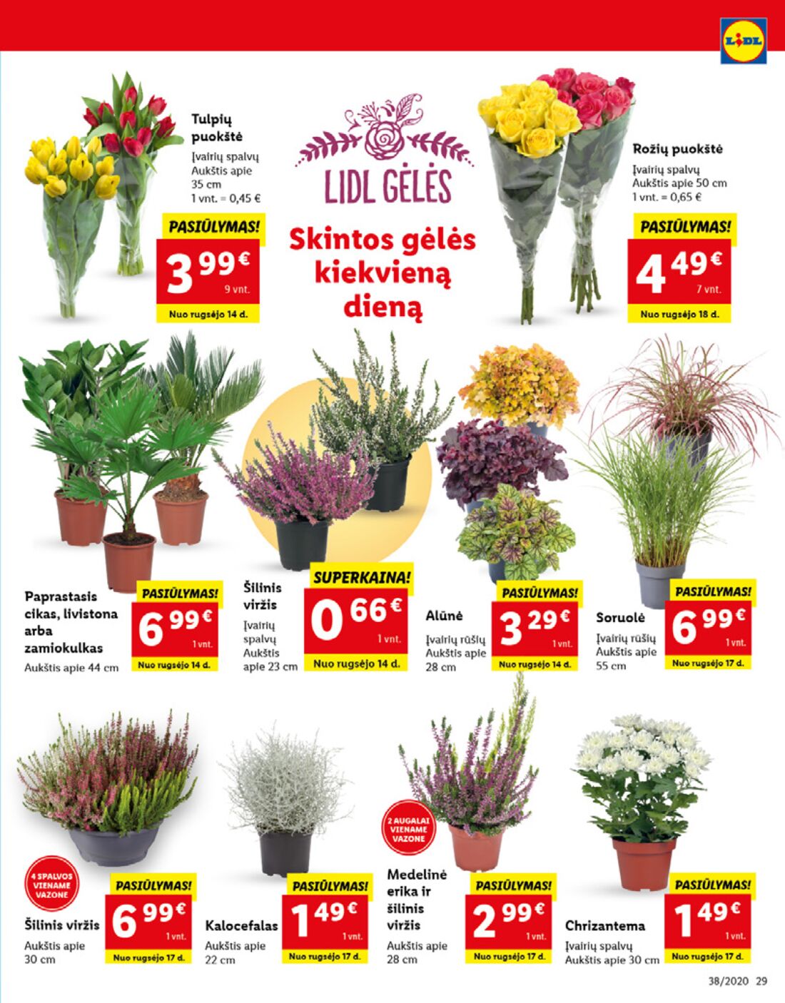 Lidl savaitinis leidinys akcijos nuo 
  2020-09-14 iki 
  2020-09-20 | Leidinukas.lt puslapis 29