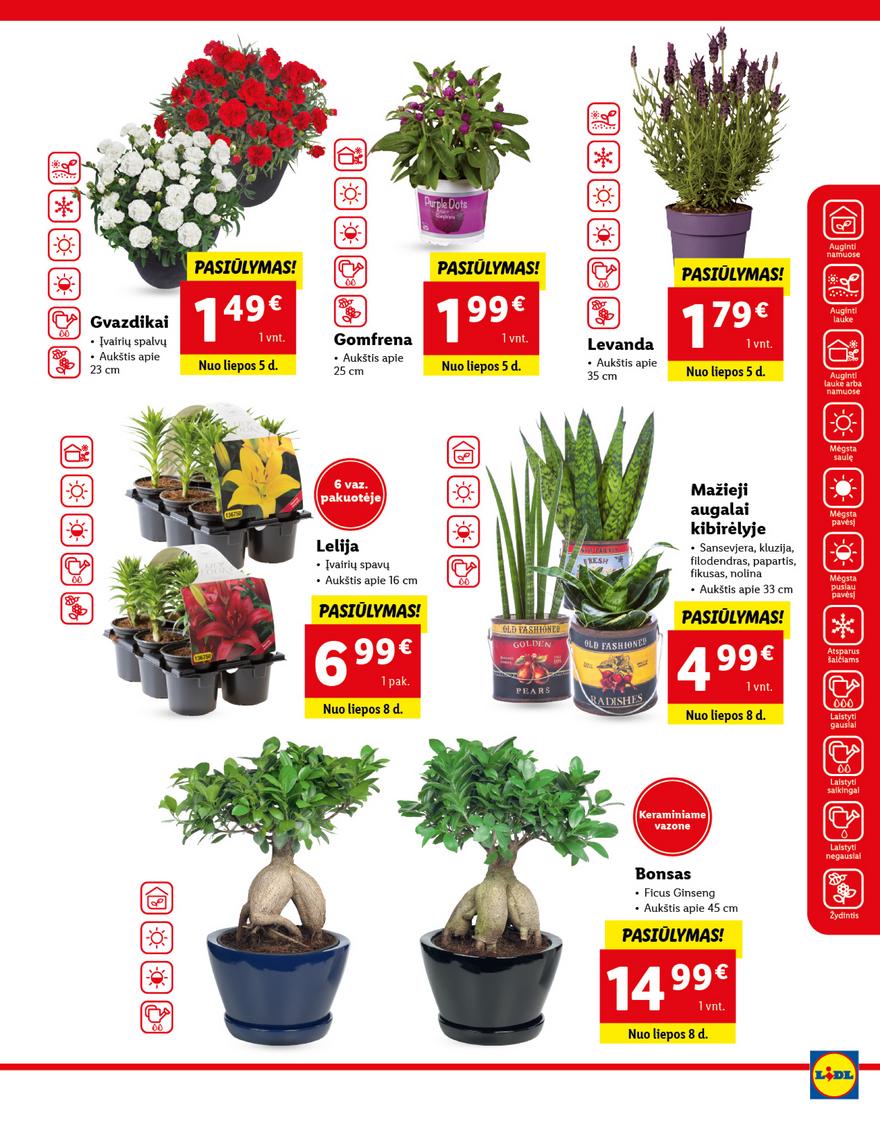 Lidl maisto prekių pasiūlymai akcijos nuo 
  2021-07-05 iki 
  2021-07-11 | Leidinukas.lt puslapis 33