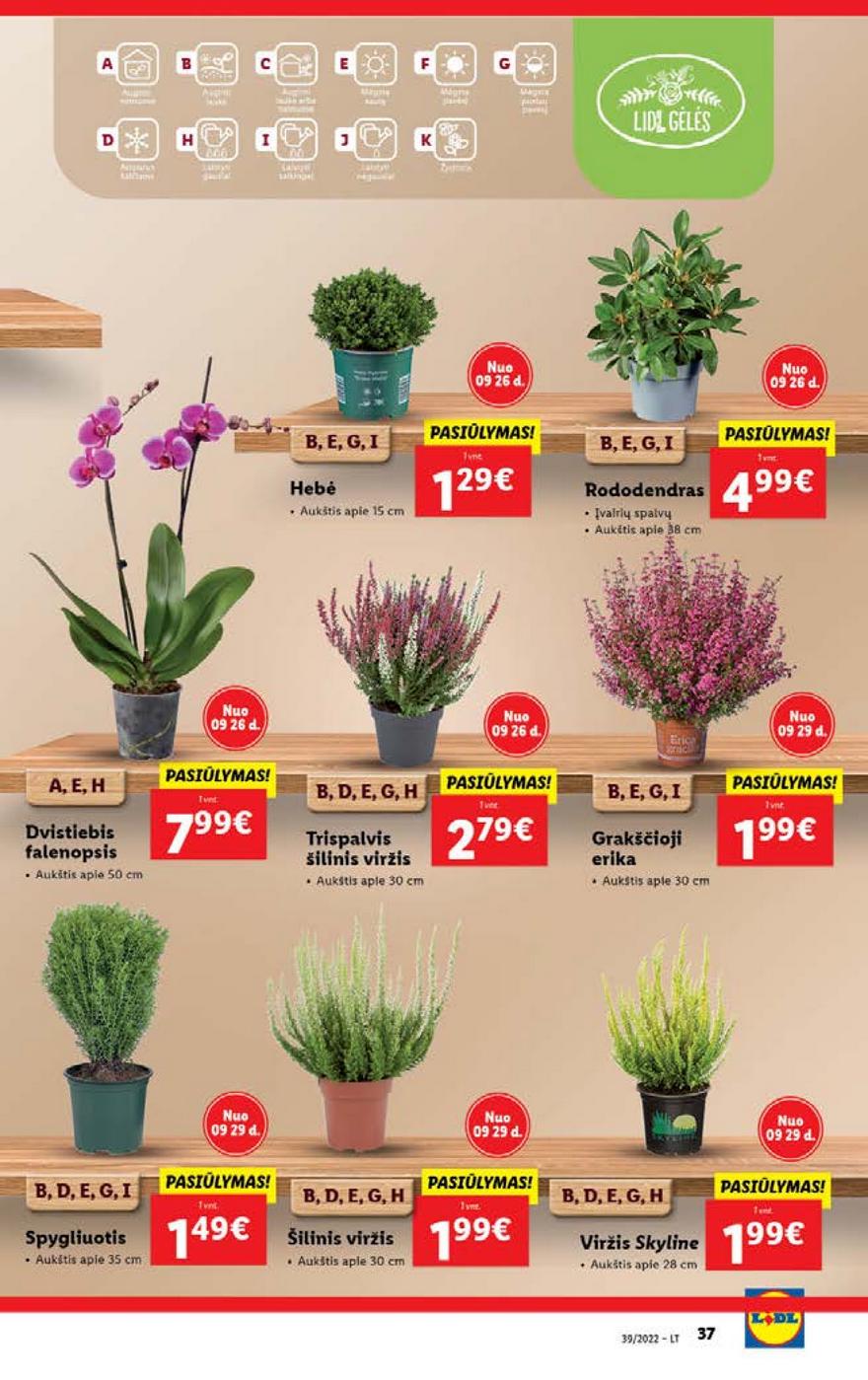 Lidl maisto prekių pasiūlymai akcijos nuo 
  2022-09-26 iki 
  2022-10-02 | Leidinukas.lt puslapis 37