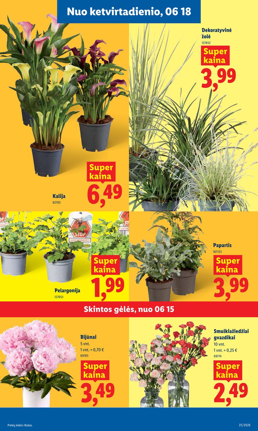 Lidl leidinys akcijos nuo 
  2026-06-15 iki 
  2026-06-21 | Leidinukas.lt puslapis 9