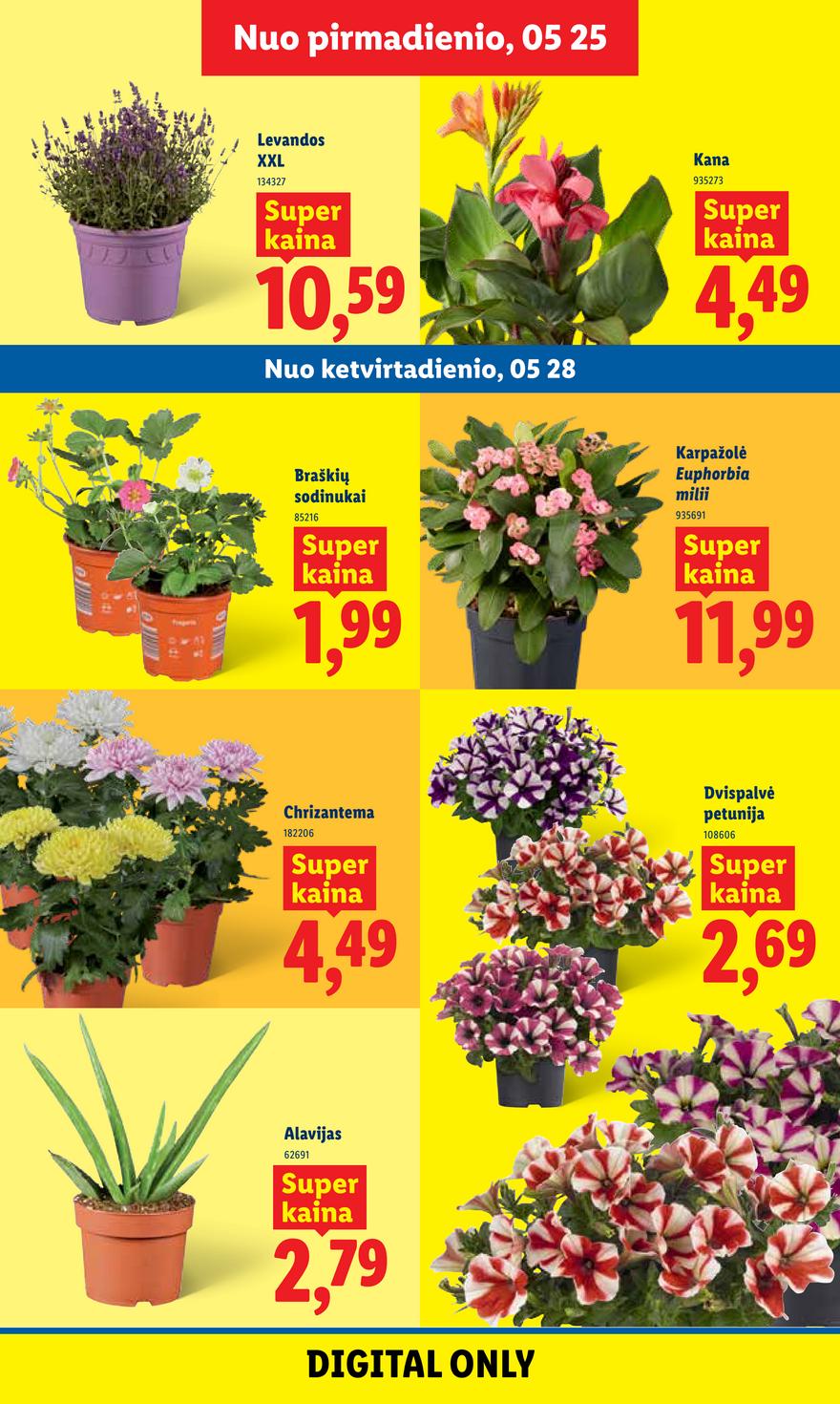 Lidl leidinys naujas akcijos nuo 
  2026-05-25 iki 
  2026-05-31 | Leidinukas.lt puslapis 7
