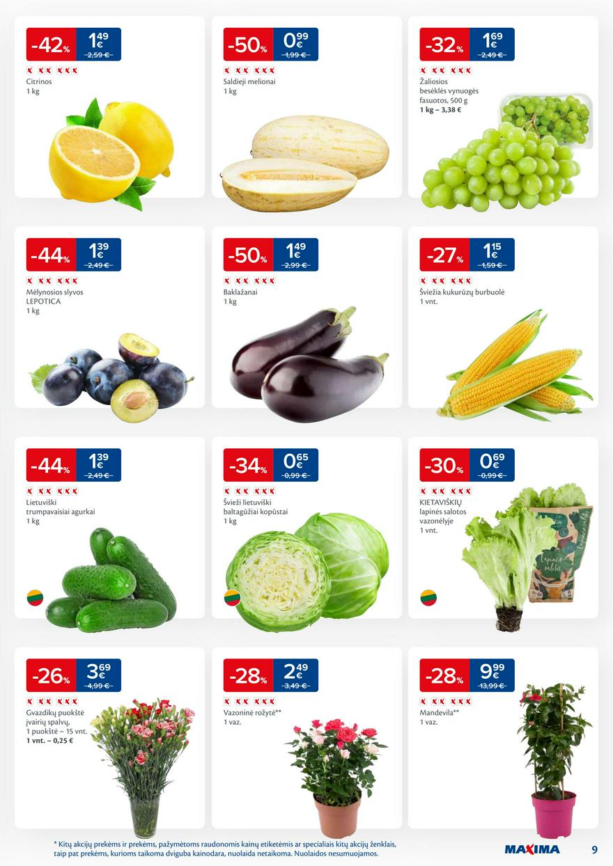 Maxima leidinys akcijos nuo 
  2024-07-16 iki 
  2024-07-22 | Leidinukas.lt puslapis 9