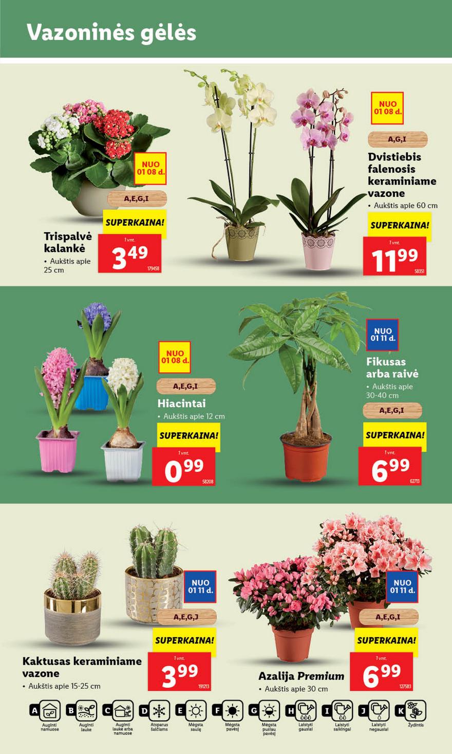 Lidl pasiūlymai akcijos nuo 
  2024-01-08 iki 
  2024-01-14 | Leidinukas.lt puslapis 37
