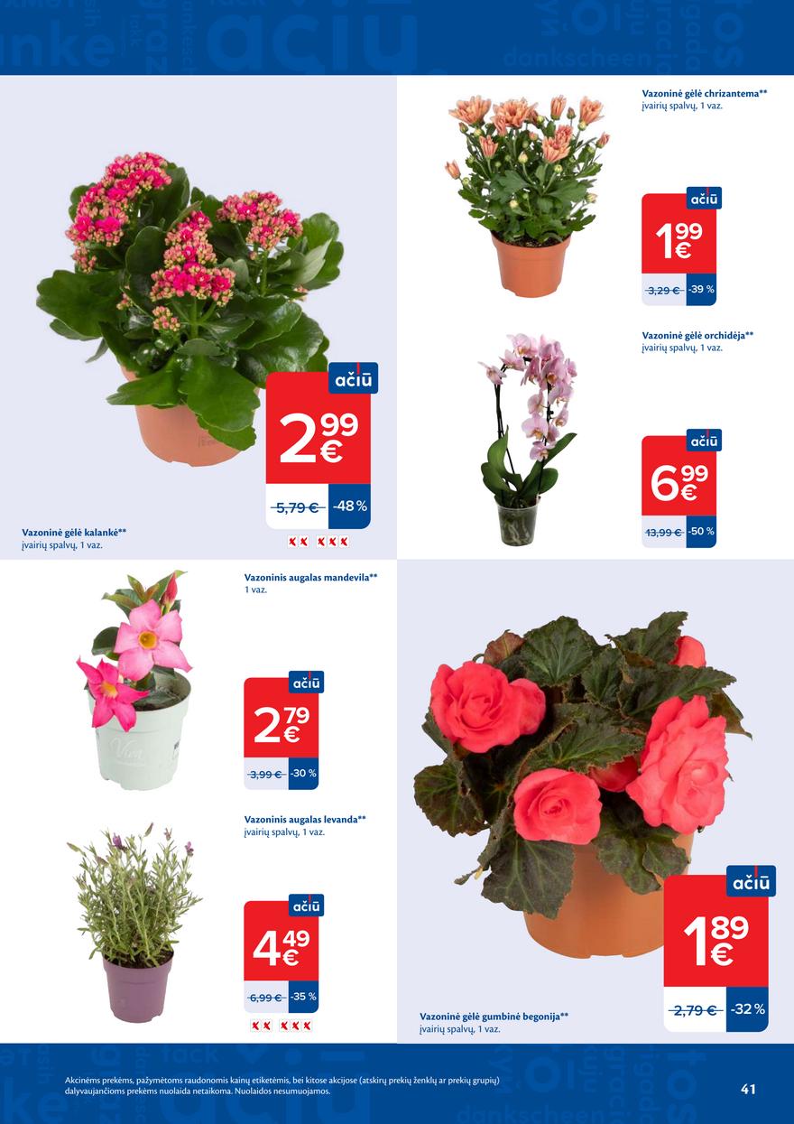 Maxima leidinys akcijos nuo 
  2026-06-23 iki 
  2026-06-29 | Leidinukas.lt puslapis 41