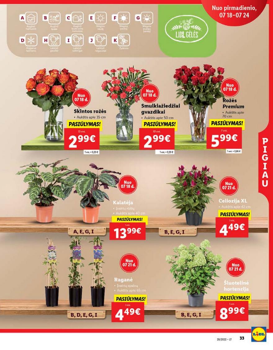 Ldil leidinys akcijos nuo 
  2022-07-18 iki 
  2022-07-24 | Leidinukas.lt puslapis 33