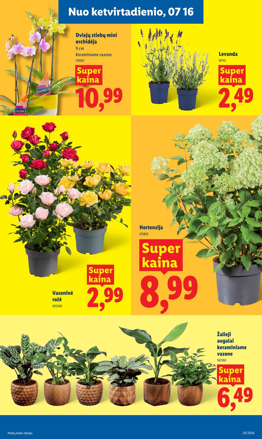 Lidl leidinys akcijos nuo 
  2026-07-13 iki 
  2026-07-19 | Leidinukas.lt puslapis 9