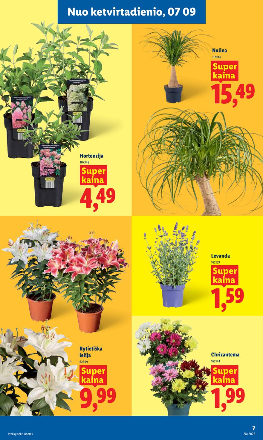 Lidl leidinys akcijos nuo 
  2026-07-06 iki 
  2026-07-12 | Leidinukas.lt puslapis 7